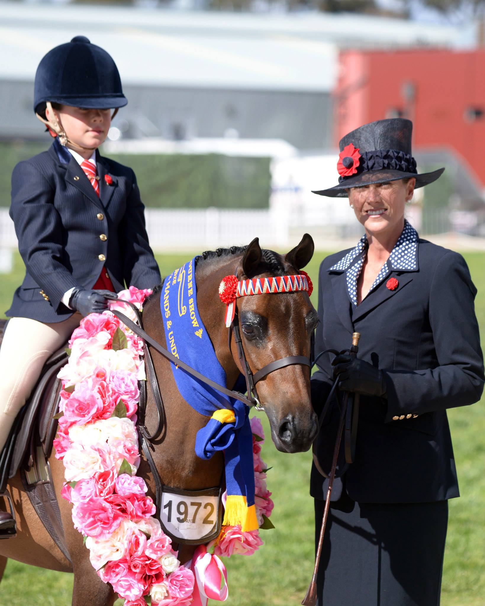 Lead Rein Ponies